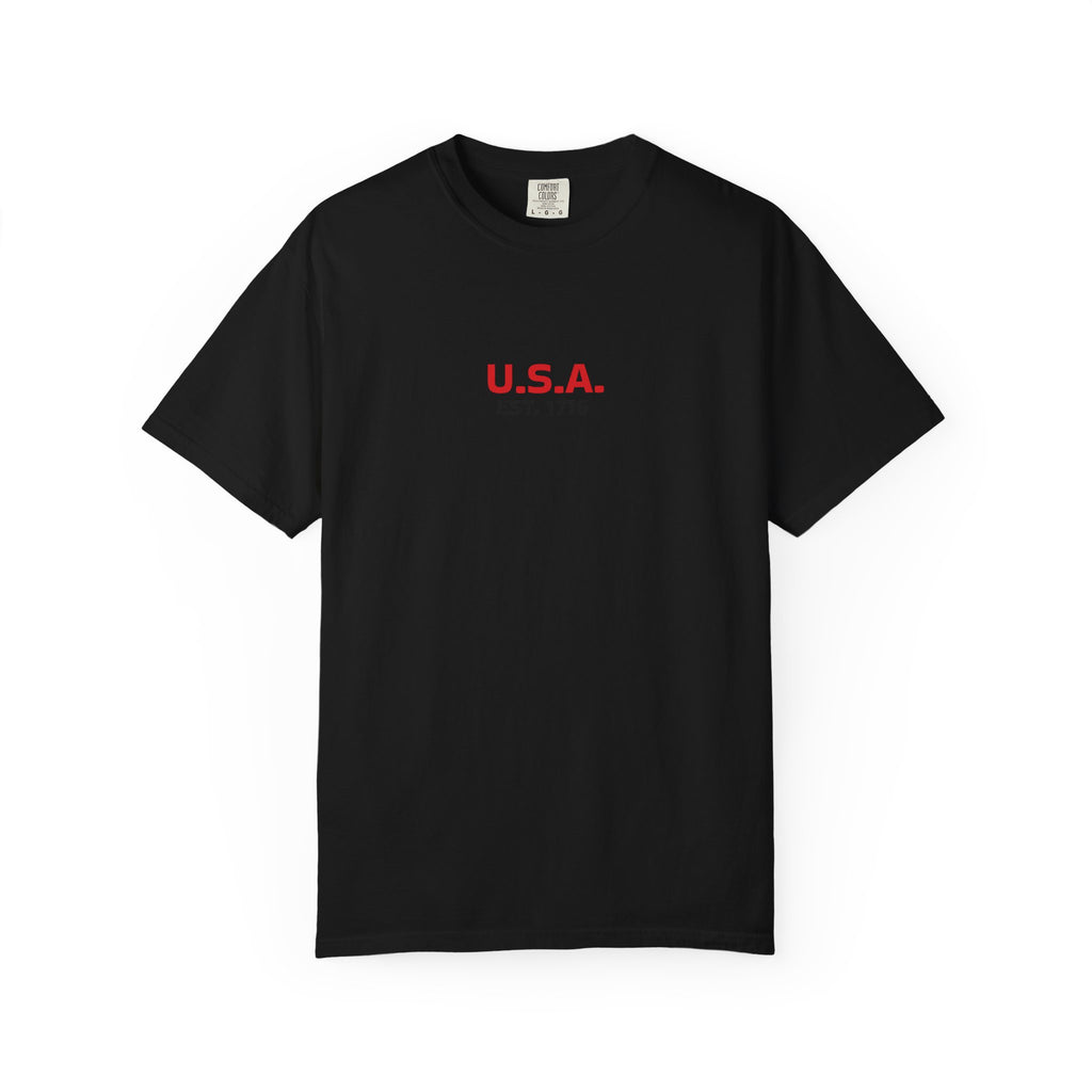 USA Flag T-Shirt — Minimal American Flag Tee with U.S.A. Chest Print