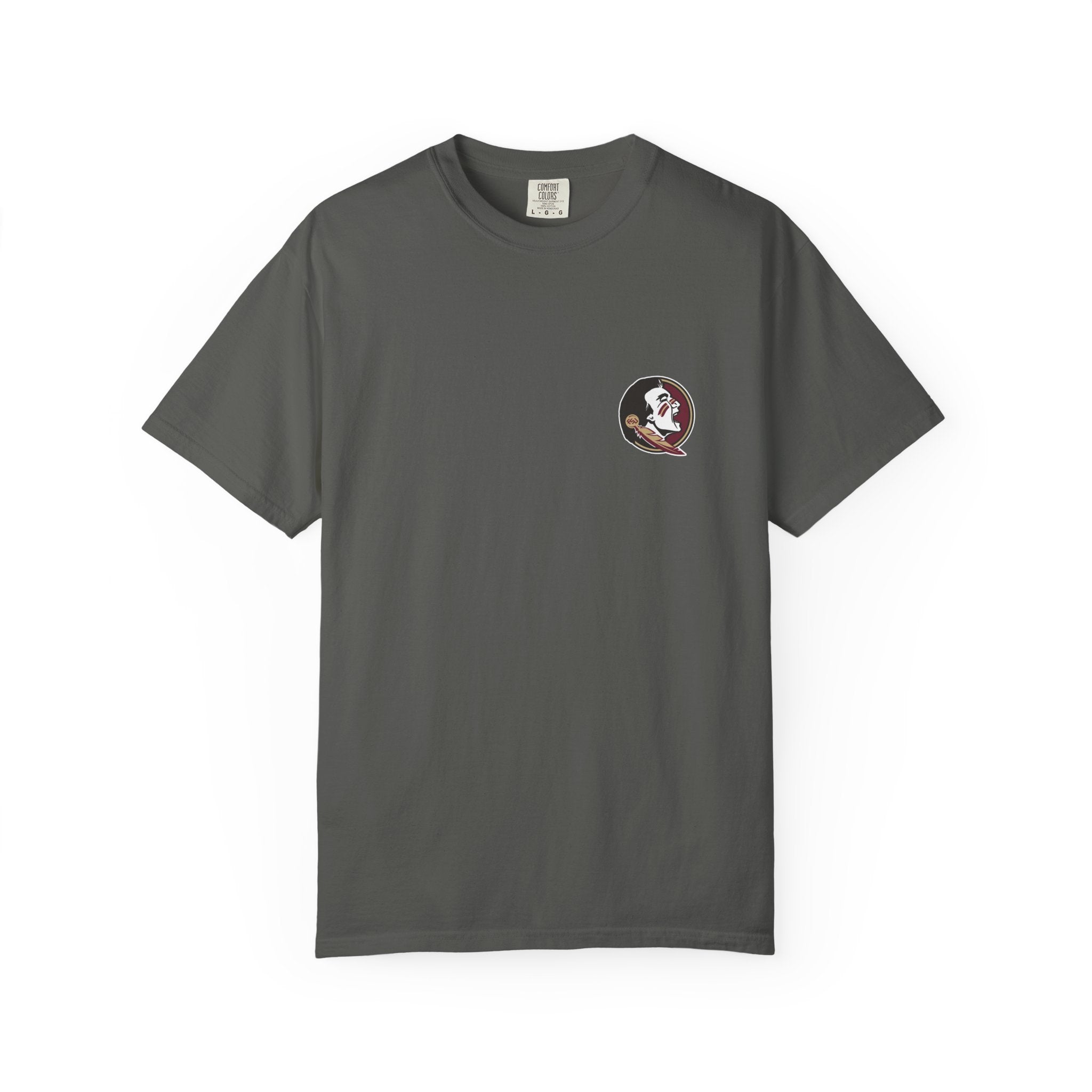 Florida State Campus Skyline T-Shirt — Vintage FSU Architecture & Westcott Fountain Scene