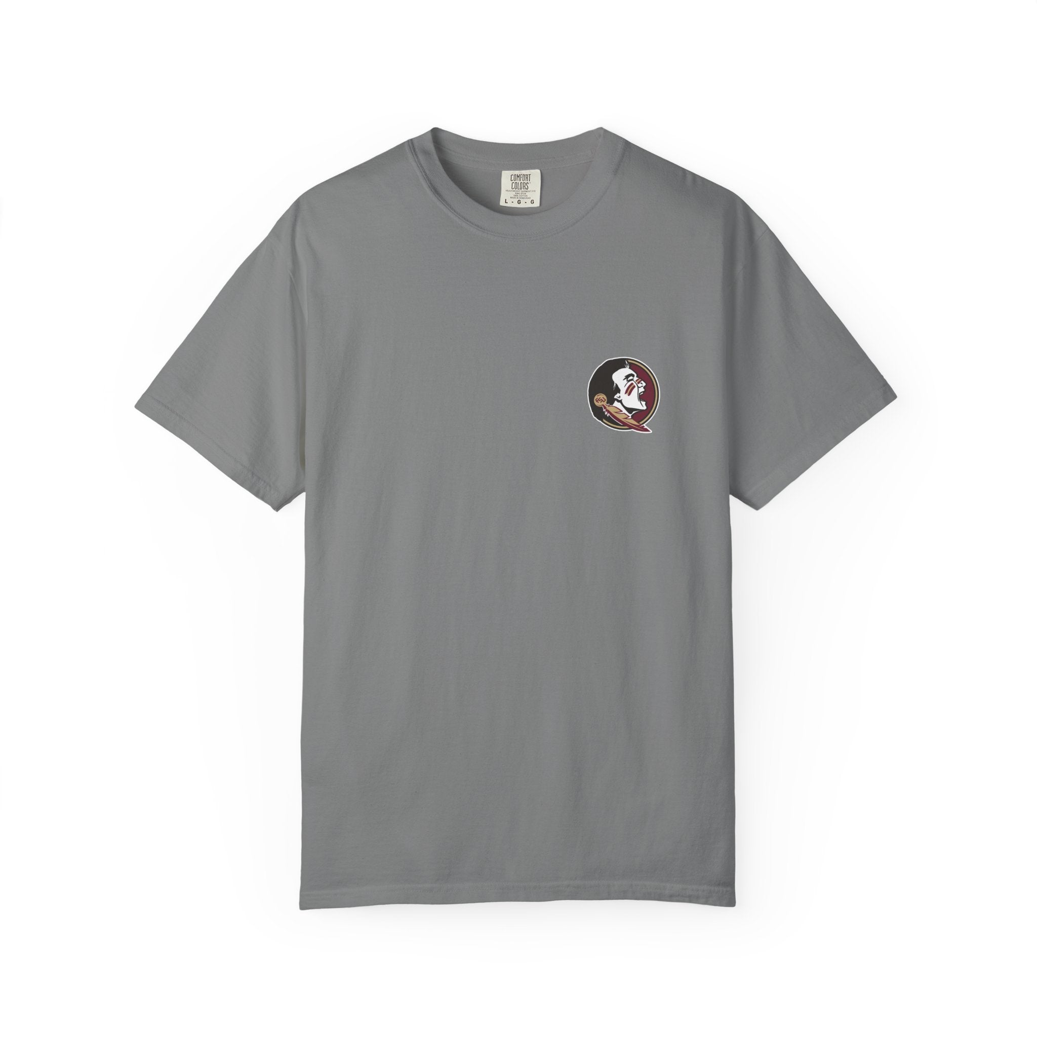 Florida State Campus Skyline T-Shirt — Vintage FSU Architecture & Westcott Fountain Scene