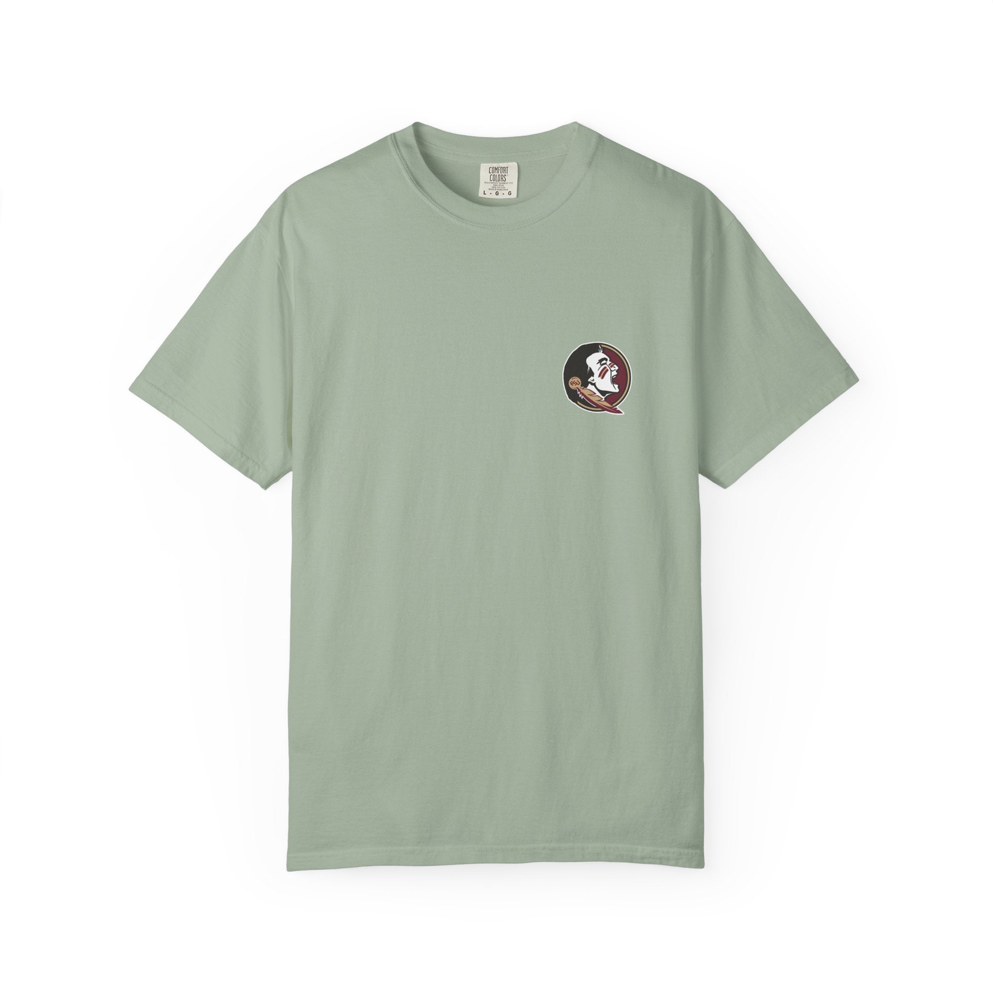 Florida State Campus Skyline T-Shirt — Vintage FSU Architecture & Westcott Fountain Scene